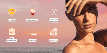 Free Radicals, what are they and how do they affect our skin.